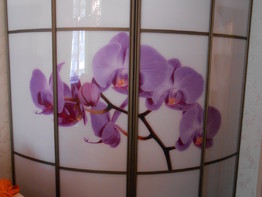 Радиусный шкаф-купе "Орхидея"